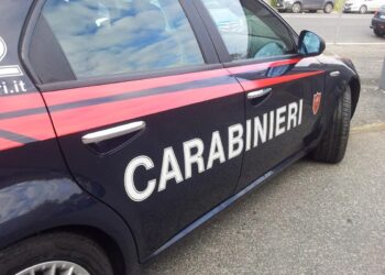 Viterbo: RDC: percepiva indebitamente il sussidio, denunciata