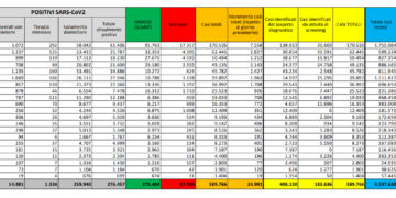 Corona Virus Italia: Totale Positivi oggi: 24.991 i deceduti: 205