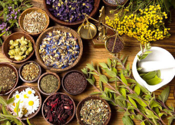 Prodeco Pharma Lavora con noi: assunzioni