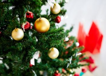 Mini guida per la scelta dell’albero di Natale
