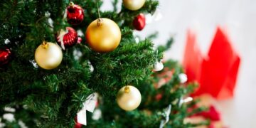 Mini guida per la scelta dell’albero di Natale