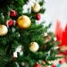 Mini guida per la scelta dell’albero di Natale