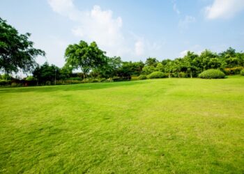 Tutto quello che devi sapere per curare un giardino o un orto