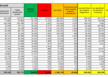 Corona Virus Italia: Totale Positivi oggi: 20.648 i deceduti: 541