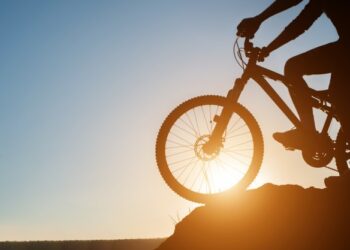 Bonus mobilità. dalle 9 di oggi attivo il portale per richiedere il bonus