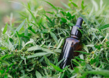 Ansia e stress: come combatterli grazie al CBD