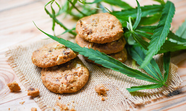 5 ricette per utilizzare la canapa in cucina