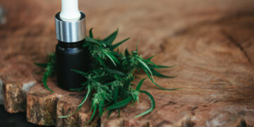 Come utilizzare l’olio di CBD: gli effetti sul corpo e sulla pelle