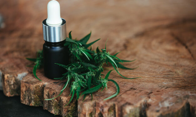 Come utilizzare l’olio di CBD: gli effetti sul corpo e sulla pelle