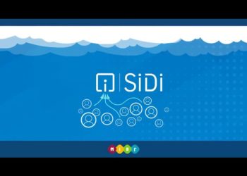 Il portale Sidi: cos’è e come funziona