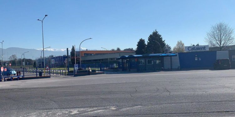 Dosi AstraZeneca Anagni, “Catalent ha assunto a valanga personale per infialare”