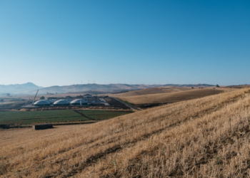 Consorzio Biogas: “Agricoltura pronta a contribuire a transizione green trasporti”
