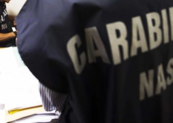 Sangue su pavimento e liquidi da bare, controlli Nas in obitori: 23 denunce