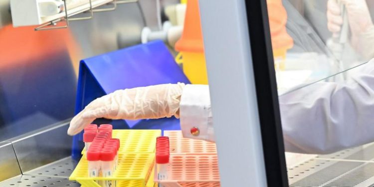 Covid Gb, numero decessi diminuito del 41% in ultima settimana