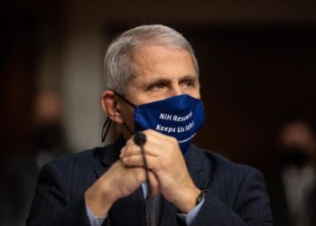 Covid, ex consigliere Trump attacca: “Fauci padre del virus”