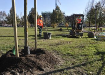 Forestami, 3 milioni di alberi a Milano per la salute dei cittadini