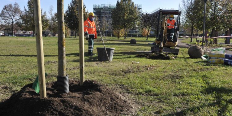 Forestami, 3 milioni di alberi a Milano per la salute dei cittadini