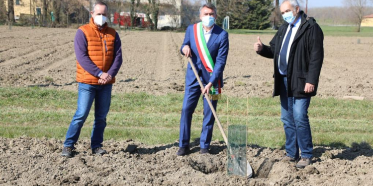 Mutti lancia ‘Mille querce’, il bosco diffuso nel territorio di Parma