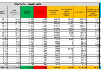 Corona Virus Italia: Totale Positivi oggi: 26.062 i deceduti: 317