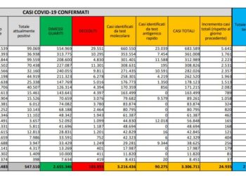 Corona Virus Italia: Totale Positivi oggi: 24.935 i deceduti: 423