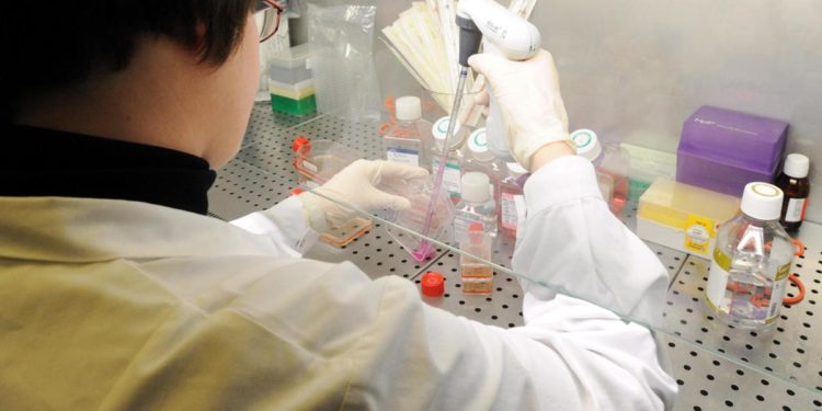 ViiV Healthcare, nuovi dati su prima terapia Hiv completa a lunga durata