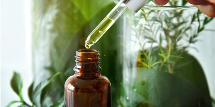 L’Oréal avrà 95% ingredienti da fonti vegetali rinnovabili entro 2030