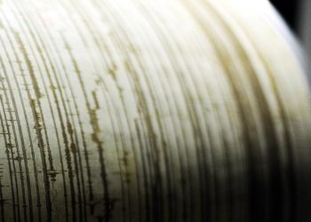 Forte terremoto in Nuova Zelanda