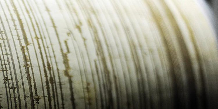 Forte terremoto in Nuova Zelanda