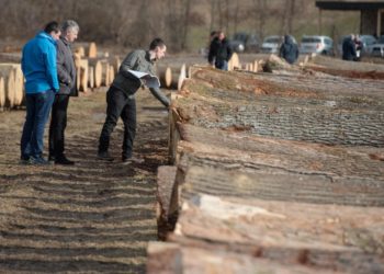 Fantoni (Federlegnoarredo): ‘Stop incentivi per chi usa prodotto forestale di valore’