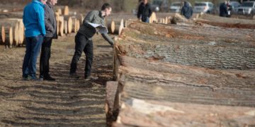 Fantoni (Federlegnoarredo): ‘Stop incentivi per chi usa prodotto forestale di valore’