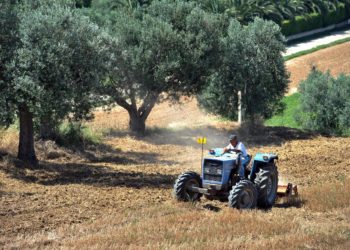 Agroalimentare, Pattuglia (Univ. Tor Vergata): ‘e-commerce sempre più cercato’