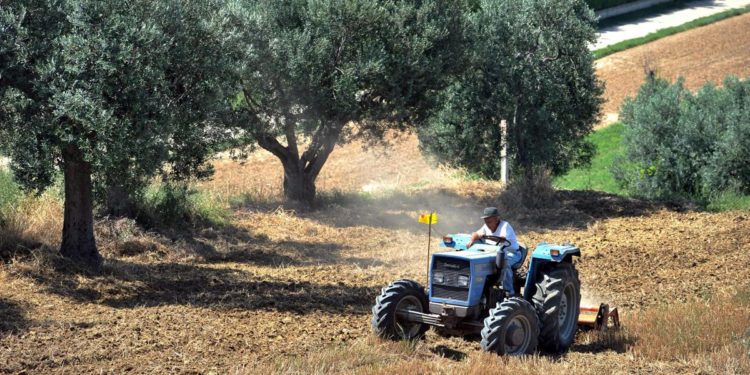 Agroalimentare, Pattuglia (Univ. Tor Vergata): ‘e-commerce sempre più cercato’