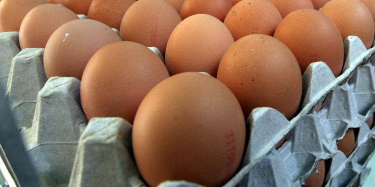 Ismea: nel 2020 cresce consumo di uova, è record con 219 pro capite