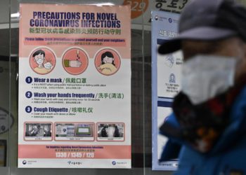 Covid e origine pandemia: probabile trasmissione da animale a uomo
