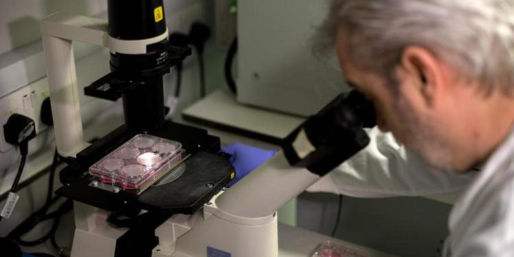 Varianti Covid, mutazione speciale scoperta a Novara