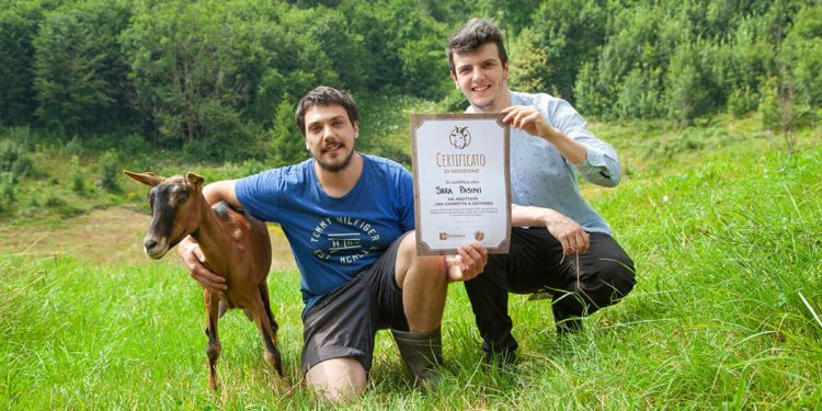 Da oggi puoi adottare una capretta a distanza