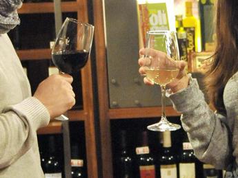 Testino (Sia): “Nessuna quantità di etanolo è priva di rischio”