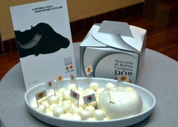 Intesa-San Paolo, molta richiesta lavoro settore mozzarella bufala campana