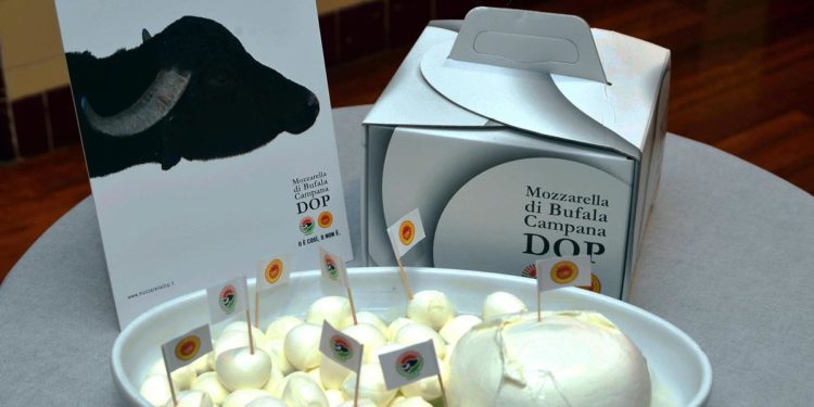 Intesa-San Paolo, molta richiesta lavoro settore mozzarella bufala campana