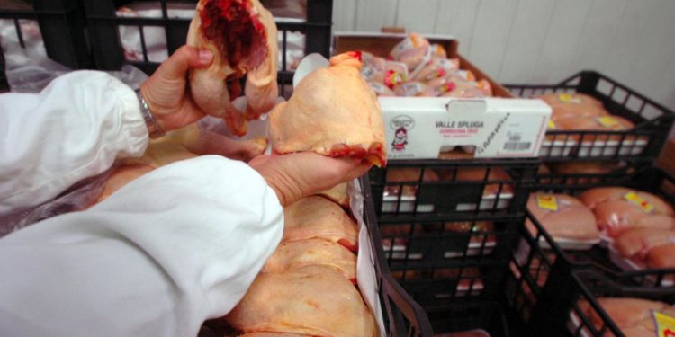 Carni avicole, nel 2021 Italia unico paese con segno più tra 5 produttori Ue