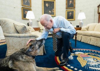 Biden, è morto il cane Champ