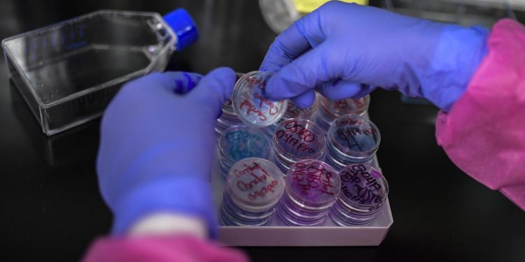 Covid oggi Abruzzo, 44 nuovi contagi: bollettino 5 giugno