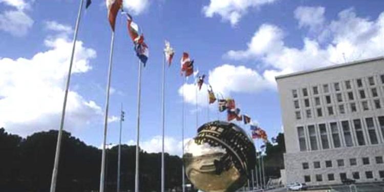 Sudan, Farnesina: scarcerato Marco Zennaro