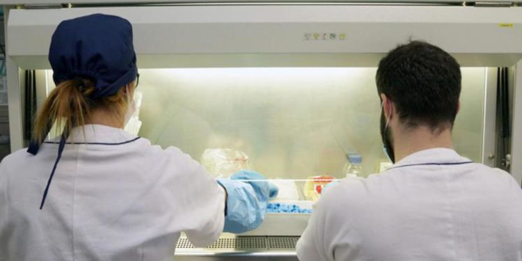 Co-presenza varianti genetiche rare aumenta rischio Parkinson, lo studio