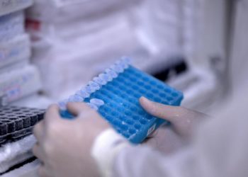 Covid, scoperti nuovi anticorpi in grado di inibire l’infezione