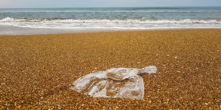 Giornata degli Oceani, minacciati da inquinamento e cambiamento climatico