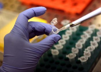 Cancro polmone, doppia immunoterapia più chemio ‘light’ allunga la vita