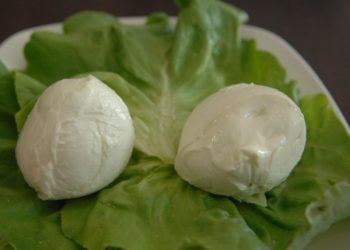 Consorzio tutela mozzarella bufala campana, tutela e vigilanza in primo piano