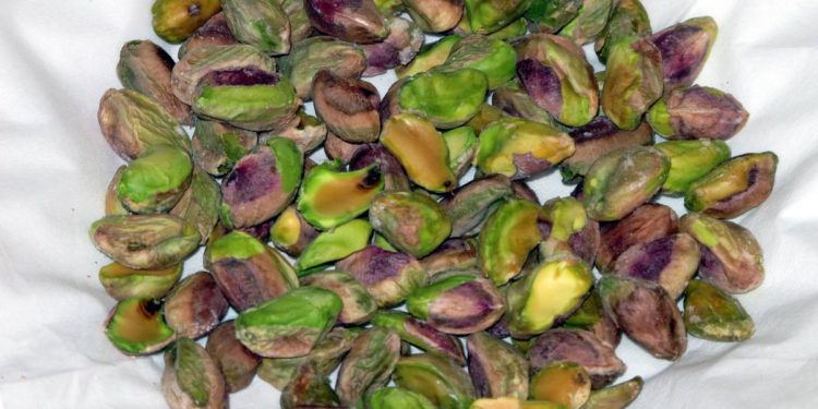 California, caccia ai ladri di pistacchi