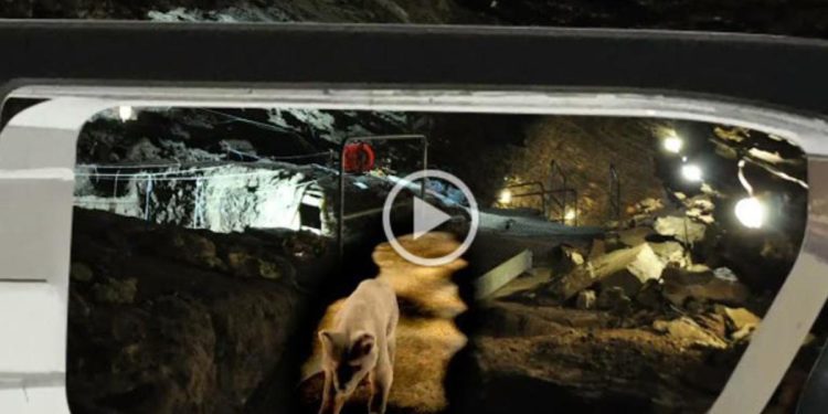 Vacanza con la realtà aumentata, a cena con l’uomo di Neanderthal